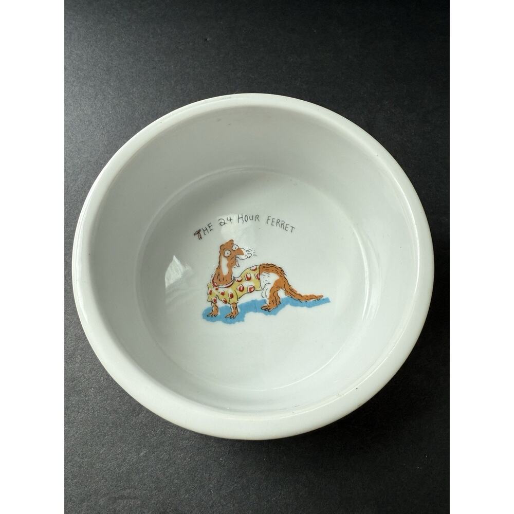 Cat Food Water Dish Ceramic The 24 Hour Ferret Debra Solomon Whimsycore